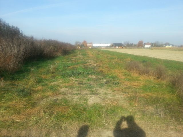 Orašje, Orasje, Hrastik